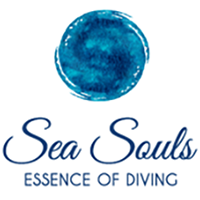 Sea Souls logo.