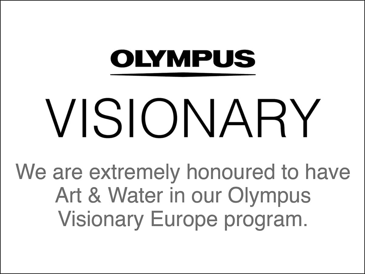 Olympus visionary.
