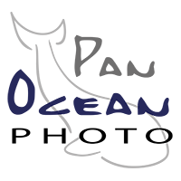PanOceanPhoto Haus der Unterwasserfotografie logo.