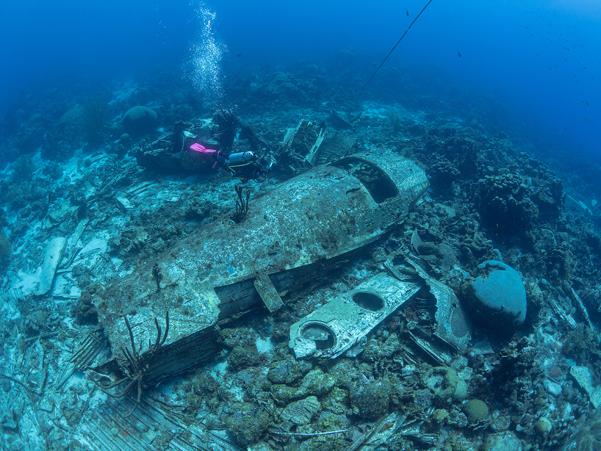 Wrecks of Curaçao 1.jpg