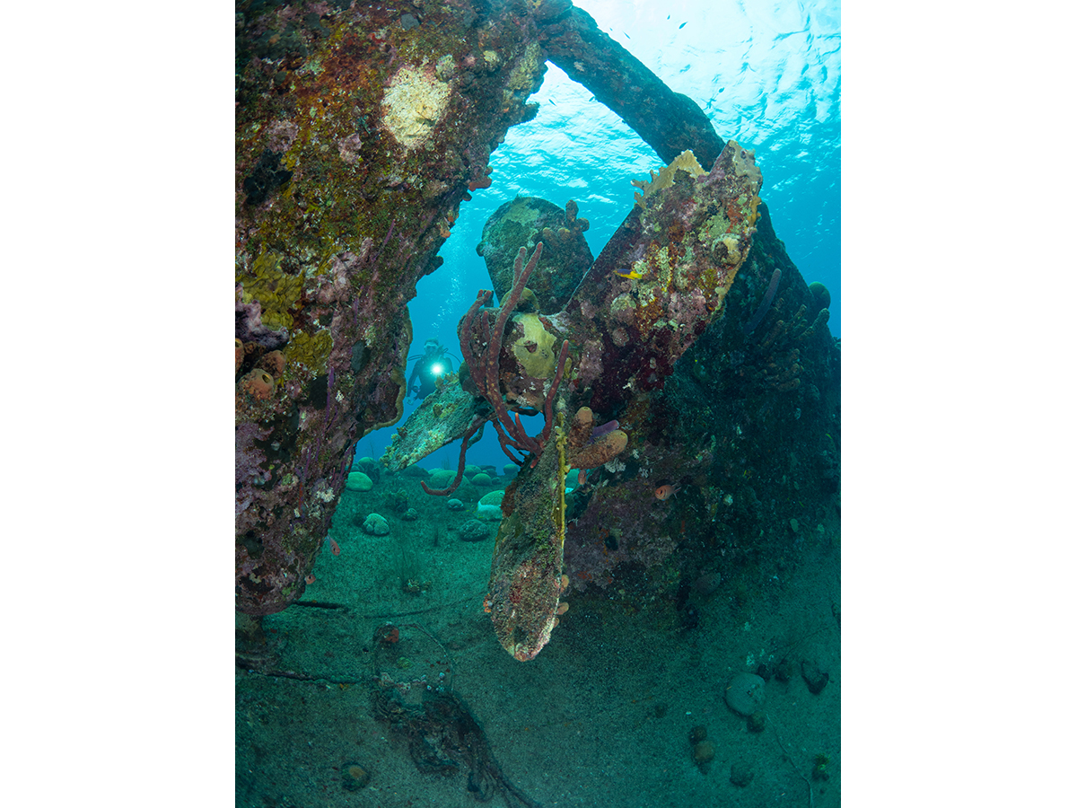 Wrecks of Curaçao 2.jpg