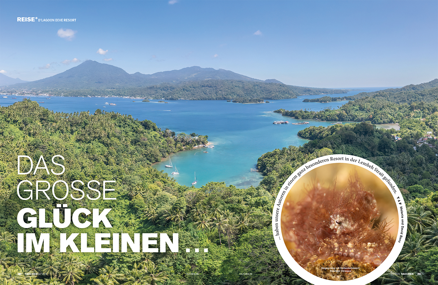 2025_02 - TAUCHEN - Lembeh_1.jpg