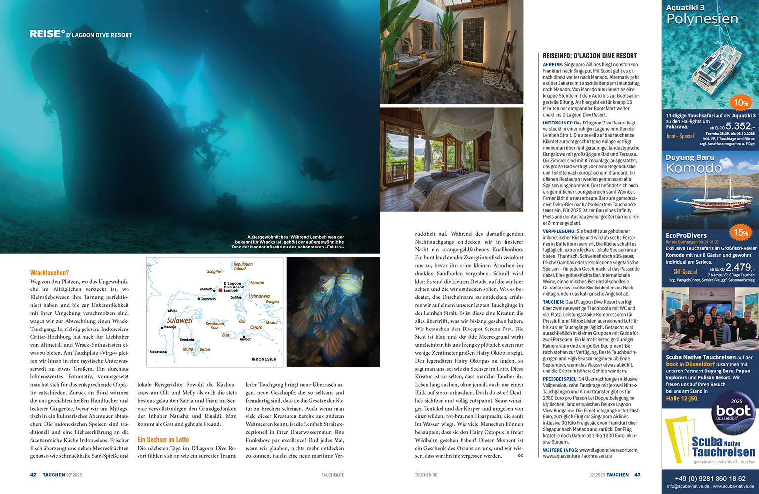 2025_02 - TAUCHEN - Lembeh_3.jpg