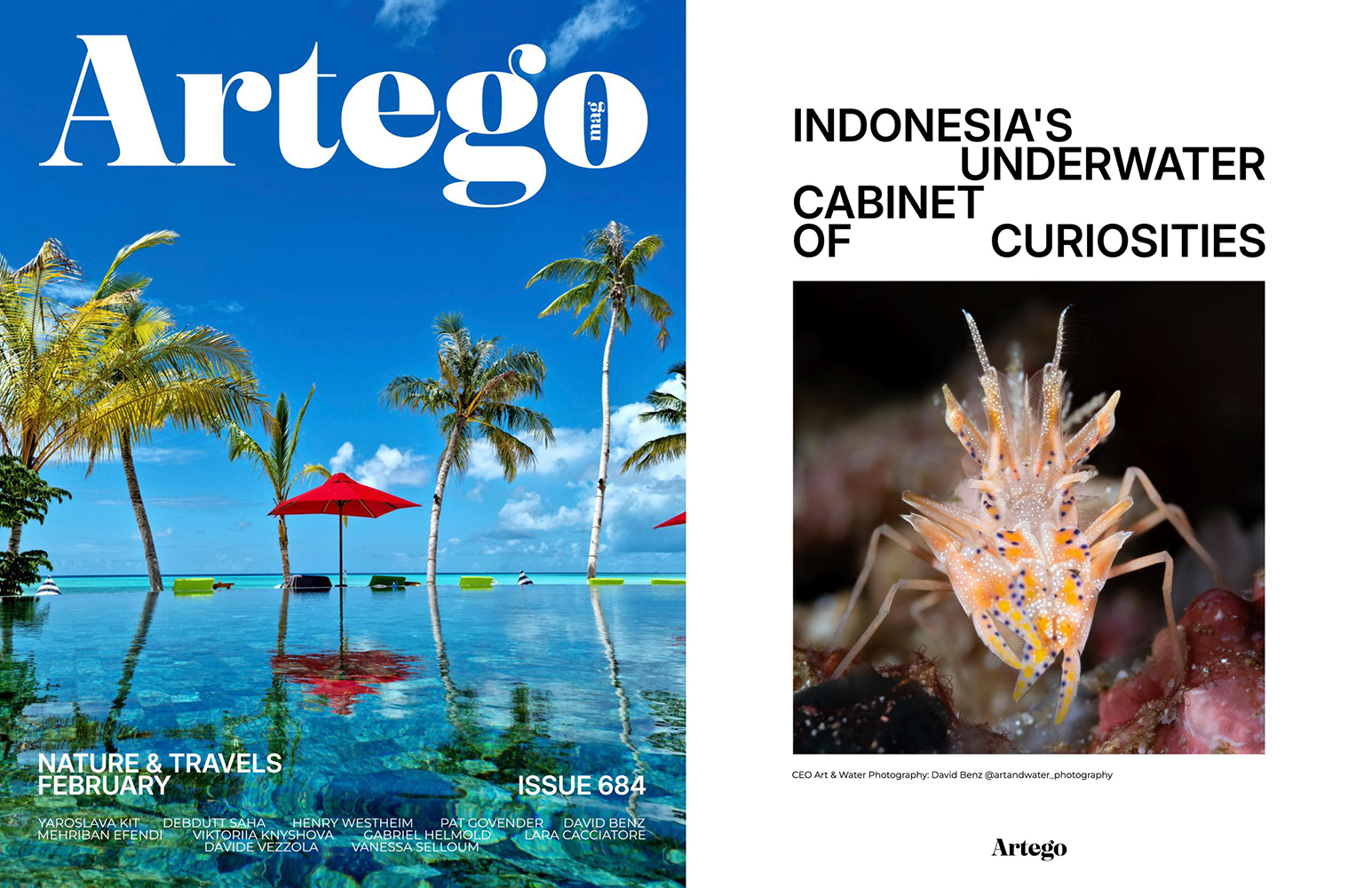 2025_03 - ARTEGO - Portfolio (1).jpg