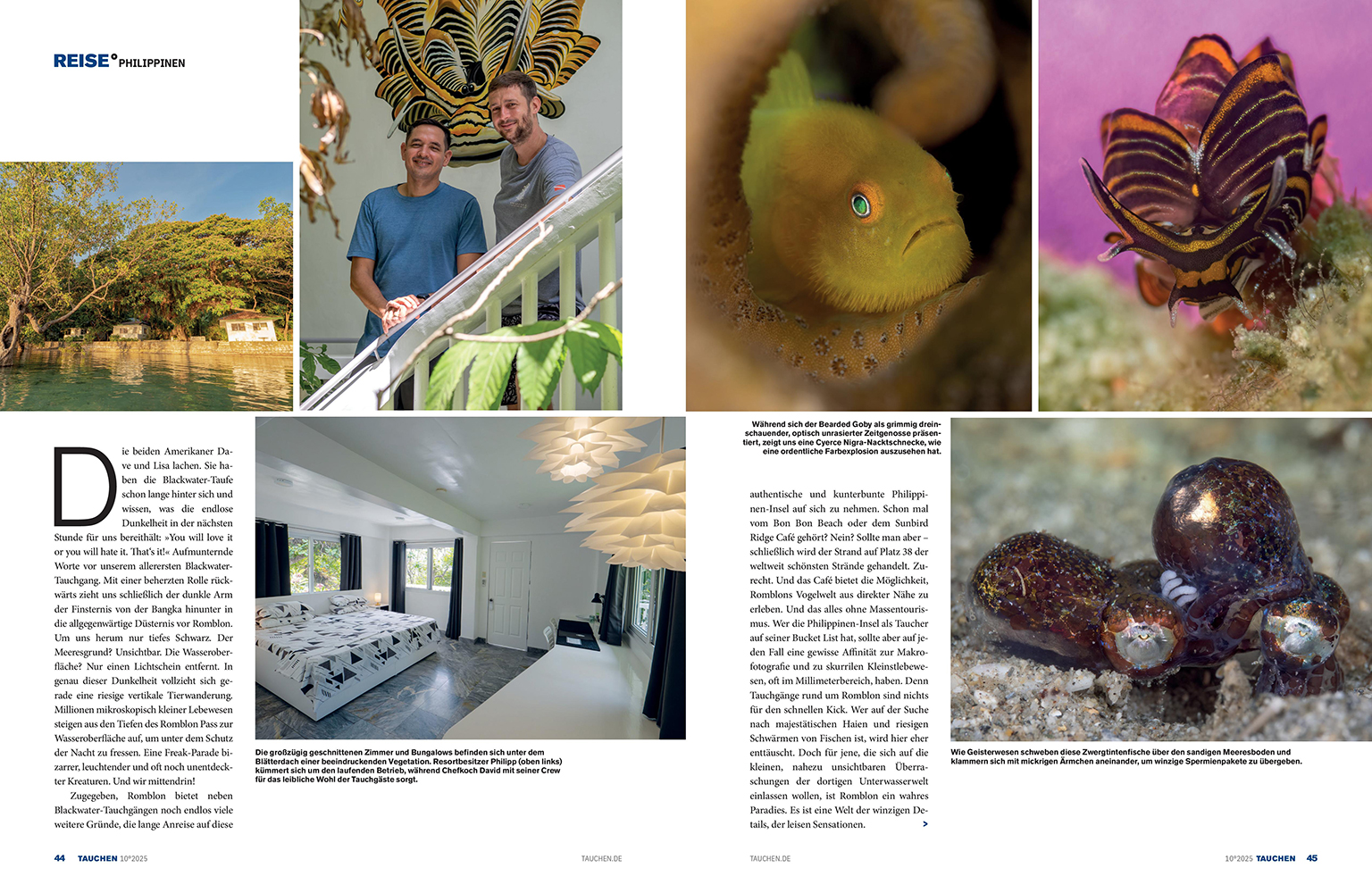 2025_10 - TAUCHEN - Romblon 2.jpg