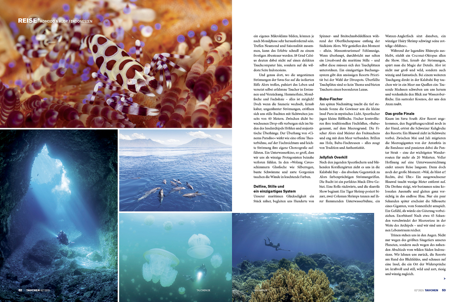 2026_02 - TAUCHEN - Alor 2.jpg