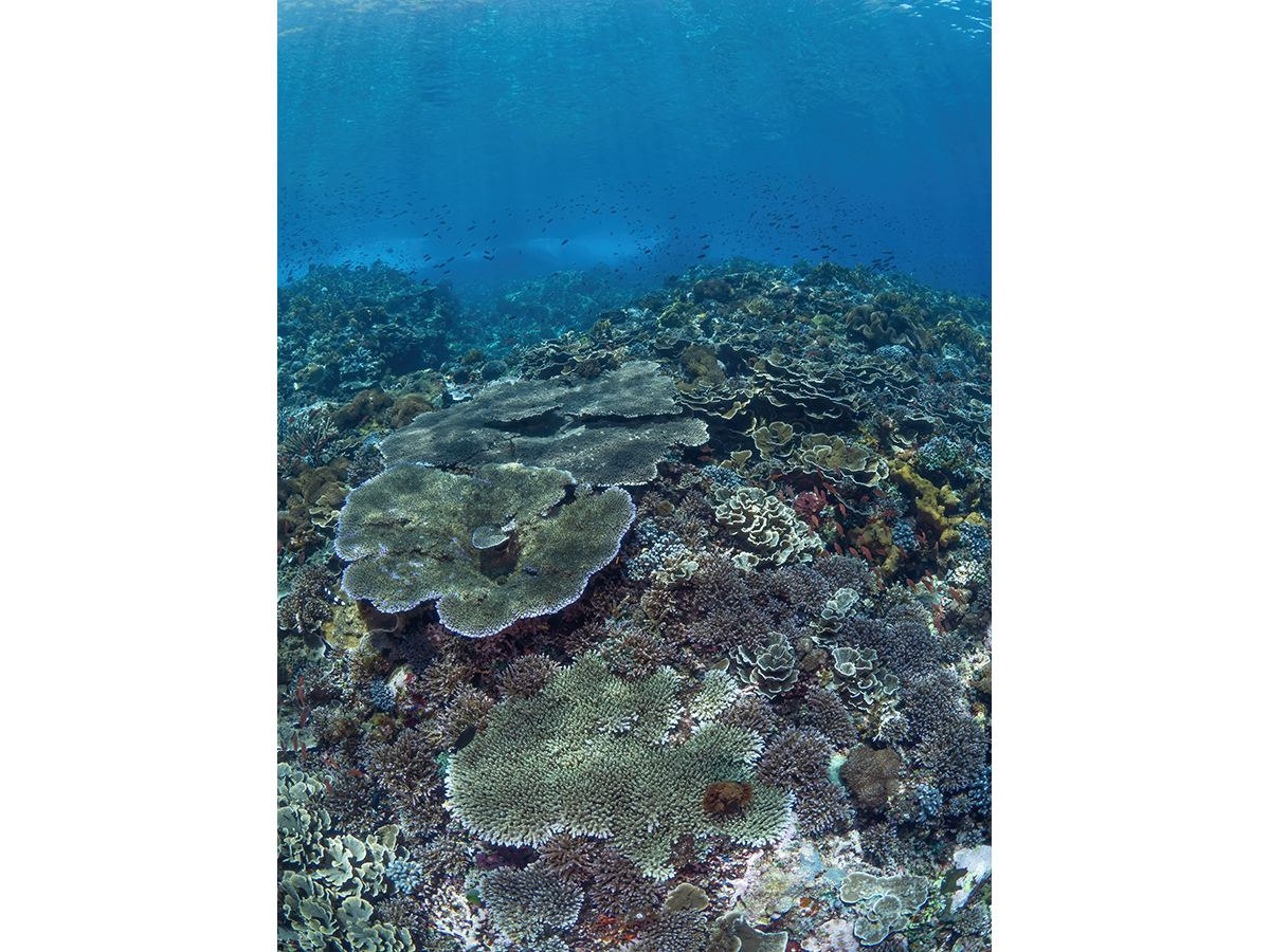 Crazy colour frenzy 3.jpg